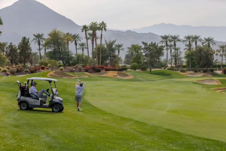 Golfer on course with palm trees