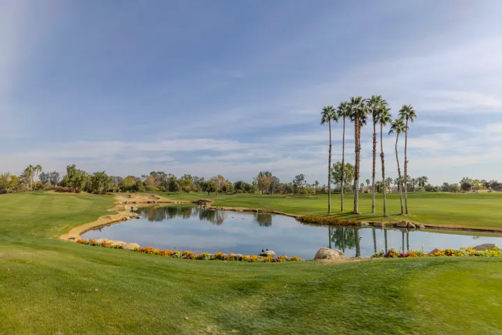 Golf course with palm trees and pond