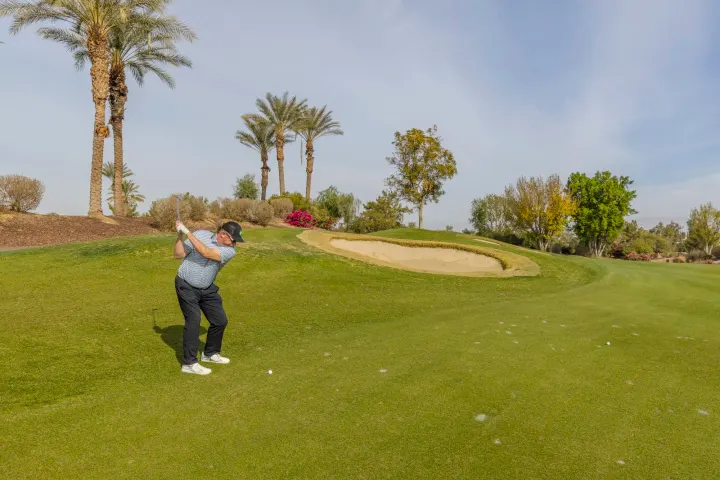 Golfer swinging on lush green course